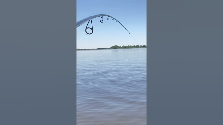 Маленький рыбка 😍