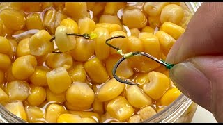 How to make corn bait for fishing