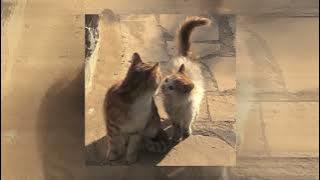 HIVI! - Mata Ke Hati (Sped Up)