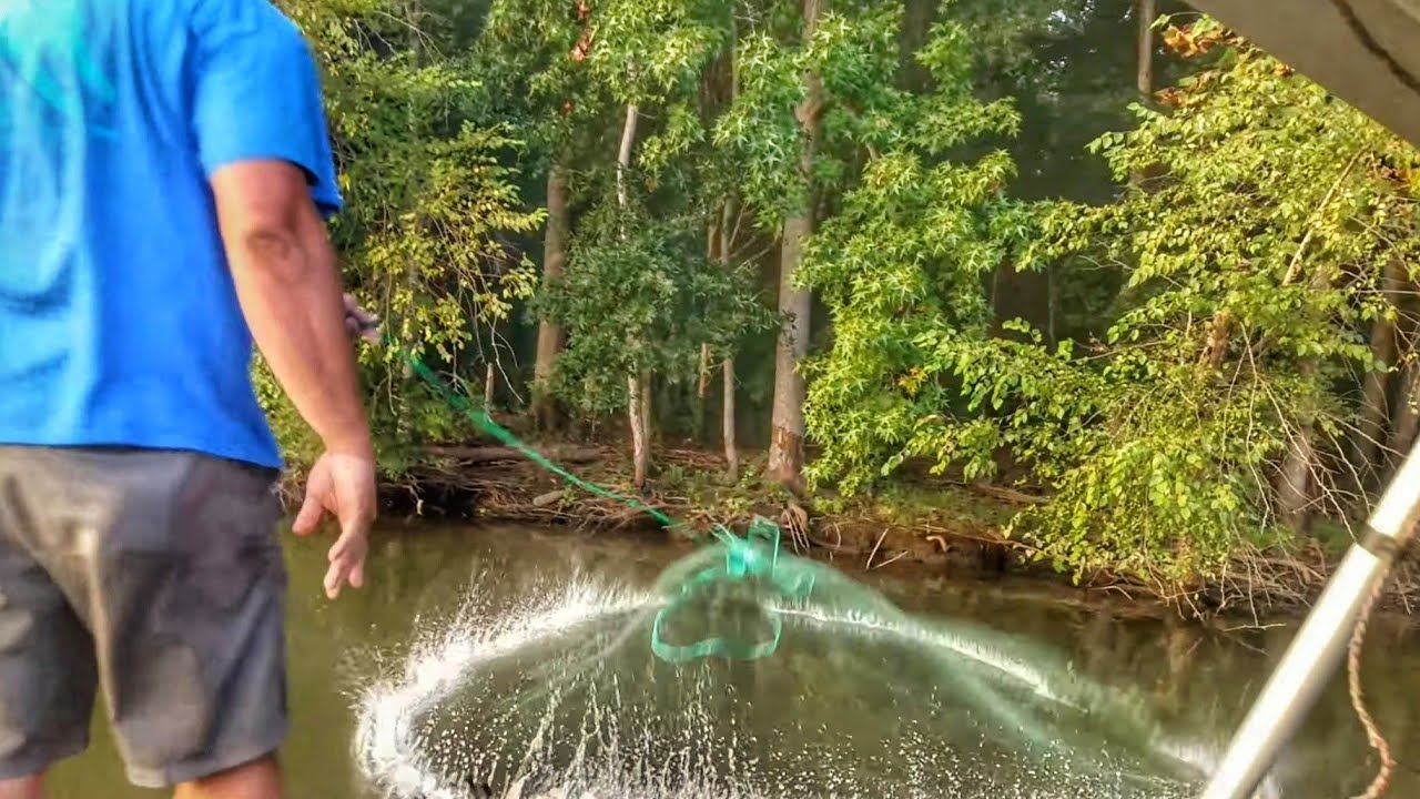 Catching Big Shad for Big Catfish 