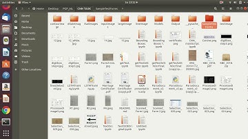 Fluteplayer ICR demo
