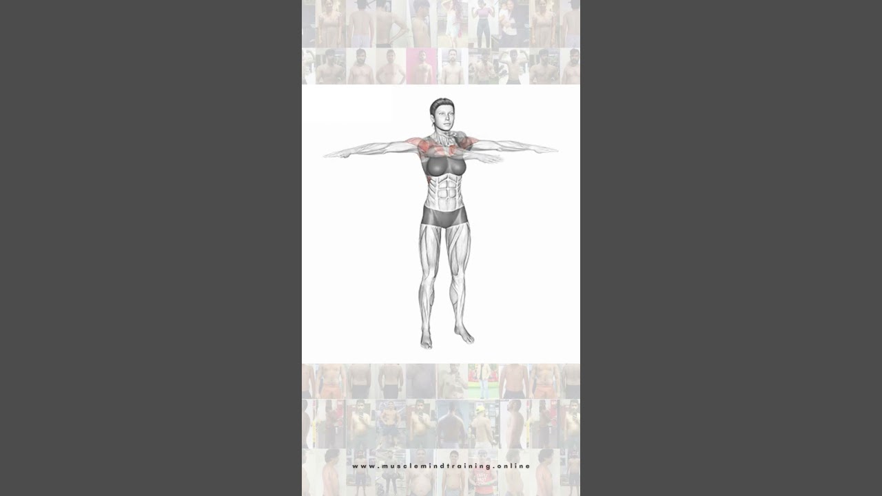 Do this 5 Warm Up Exercises Before Your Chest Workout | 5 Warm Up Exercises for Chest activation