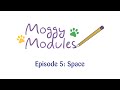 The Moggy Modules | Space