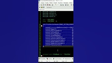 ☠️HACKER INSIDE EXE FILE ❌ READING EVERY SECTIONS ❗#hacking #malware #exe