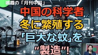 【鳴霞の「月刊中国」】「何のため?」中国の科学者が冬に繁殖する「巨大な蚊」を“製造”!