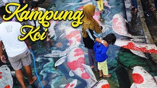 VIRAL Lukisan Ikan Koi 3D di Jalan Kampung Paingan Grabag Magelang