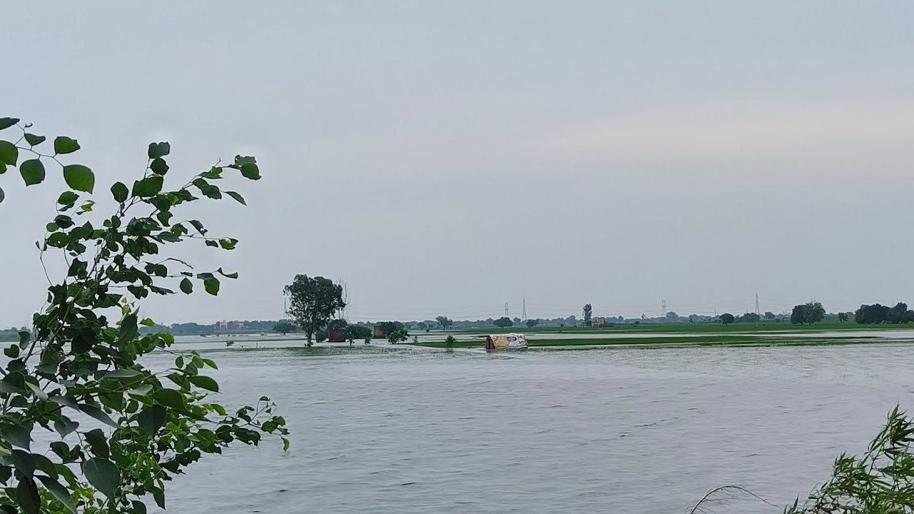 जल निगल गया गांव के गांव गुराना ने किया ईंट बाटों से हमला । गुराना खानपुर विवाद बना बड़ा हादसा ।....