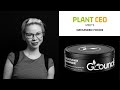 PLANT CEO #18 - Camembert cheese made from fermented cauliflower