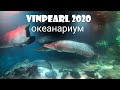 Остров Vinpearl, часть 2 - Океанариум. Нячанг 2020
