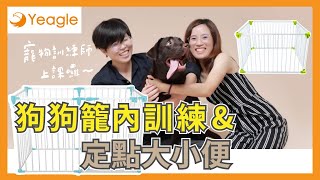 【Yeagle寵物安全小學堂】狗狗籠內訓練 & 定點大小便好萌好猛寵物訓練師