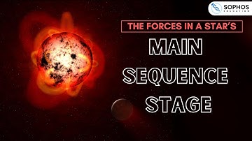 The Forces in a Star