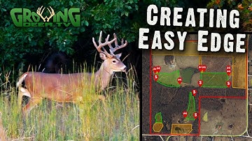Better Deer Hunting for a 120 Acre Cattle Farm | Creating Edge (598)