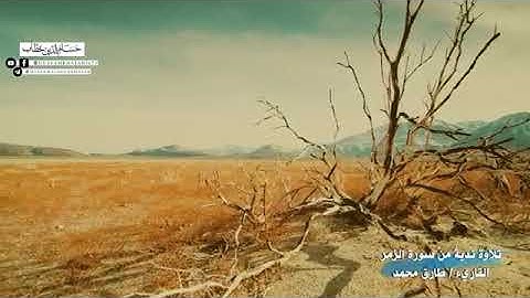 تلاوة خيالية يشرح الصدر و يطمئن النفس مع القارئ طارق محمد من سورة الزمر ( اهوال يوم القيامة )
