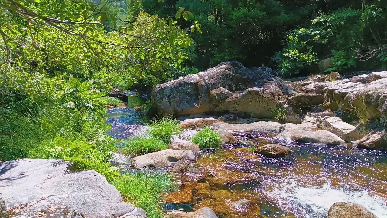 🇪🇸 🌳 Cerdedo-Cotobade (Río Almofrei) (Tráiler) #Senderismo #Galicia #España