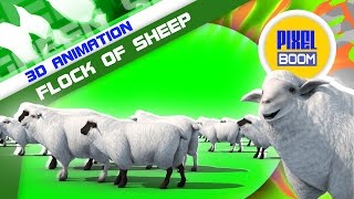 Green Screen Flock of Sheep - Footage PixelBoom