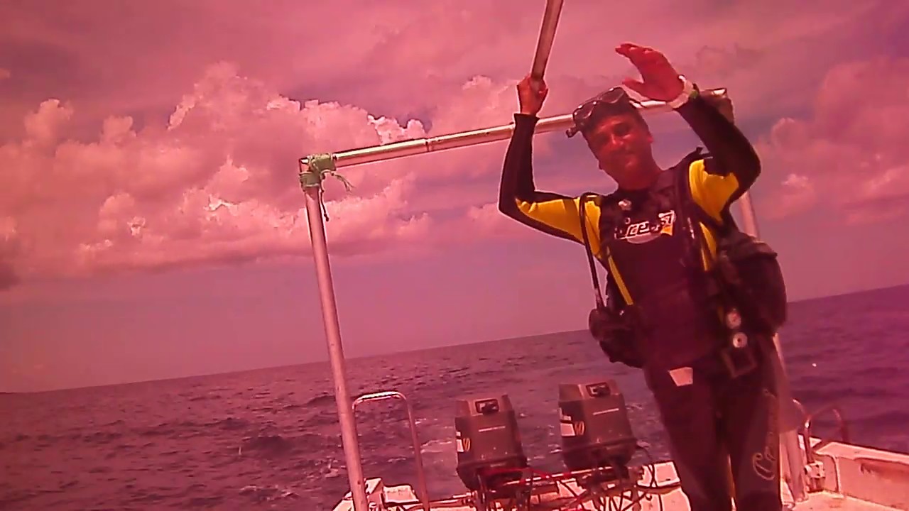 Scuba Dive in cayo Coco Cuba September 2015 PICT0078 YouTube