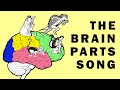 Parts of the brain song
