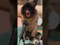 Rabbit 🐇🐰 Singing ~ Rabbit video ~ #viral #shorts