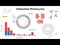 Genomic Analysis of SARS-COV-2: New Variants and the Vaccine (Webinar)
