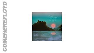 Molly Lewis - Miracle Fruit