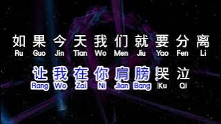 张惠妹  《 我可以抱你吗 》  wo ke yi bao ni ma