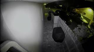 Ron The Moron, Airline Pilot, In Open View