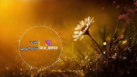 تلاوة صباحية هادئة تريح النفس والقلب من القرآن الكريم || القارئ سالم الرويلي
