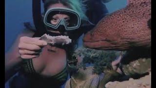 Vintage Scuba Diving Woman Encounters Moray Eel 1970S