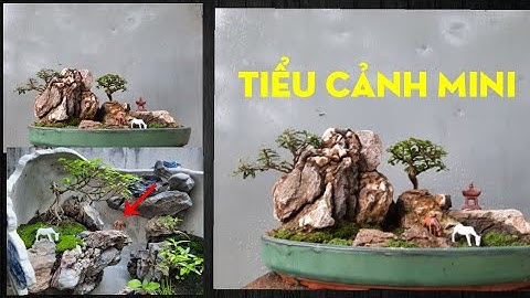 CHIA SẺ MỘT CÁCH LÀM TIỂU CẢNH ĐẸP/TIỂU CẢNH MINI/BONSAI MINI