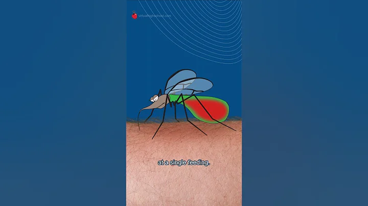 Mechanism of a Mosquito Bite