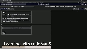 learn2code | freeCodeCamp (New) Responsive Web Design - Building a Balance Sheet: Step 1