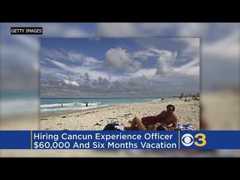 Video: They Are Looking For A Person To Earn $ 10,000 A Month For Vacationing In Cancun