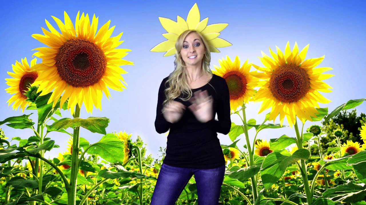 The Basic Needs of Living Things - YouTube