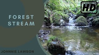 Relaxing Nature Sounds of a Forest Natural Soothing Sound Relaxing Nature Sounds of a Forest Natural Soothing Sound