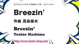 Breezin'／真島俊夫／Toshio Mashima　POMS-81047