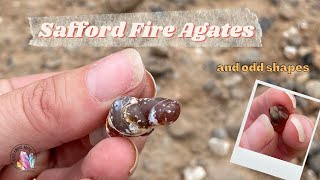 Fire Agates Safford AZ and Gila Box Rockhounding #geology #agate #rocks