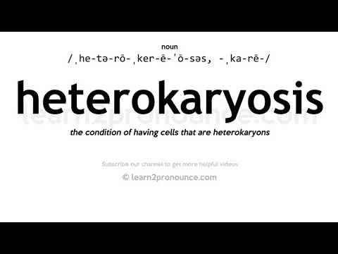 Pronunciation of Heterokaryosis | Definition of Heterokaryosis