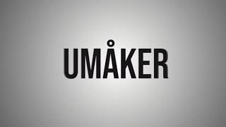 Vidéo de la course PMU PRIX FOR ALLA HASTAR - MONTÉLOPP