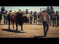 NO ONE EVER DARED TO TOUCH THIS BULL… UNTIL THAT NEEDY YOUNG MAN ARRIVED.