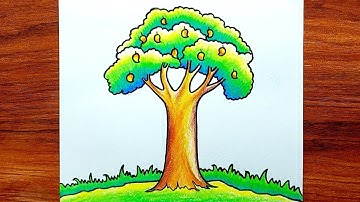 Mango Tree Drawing || How to Draw Mango Tree Step by Step || Very Easy Tree Drawing Colour...