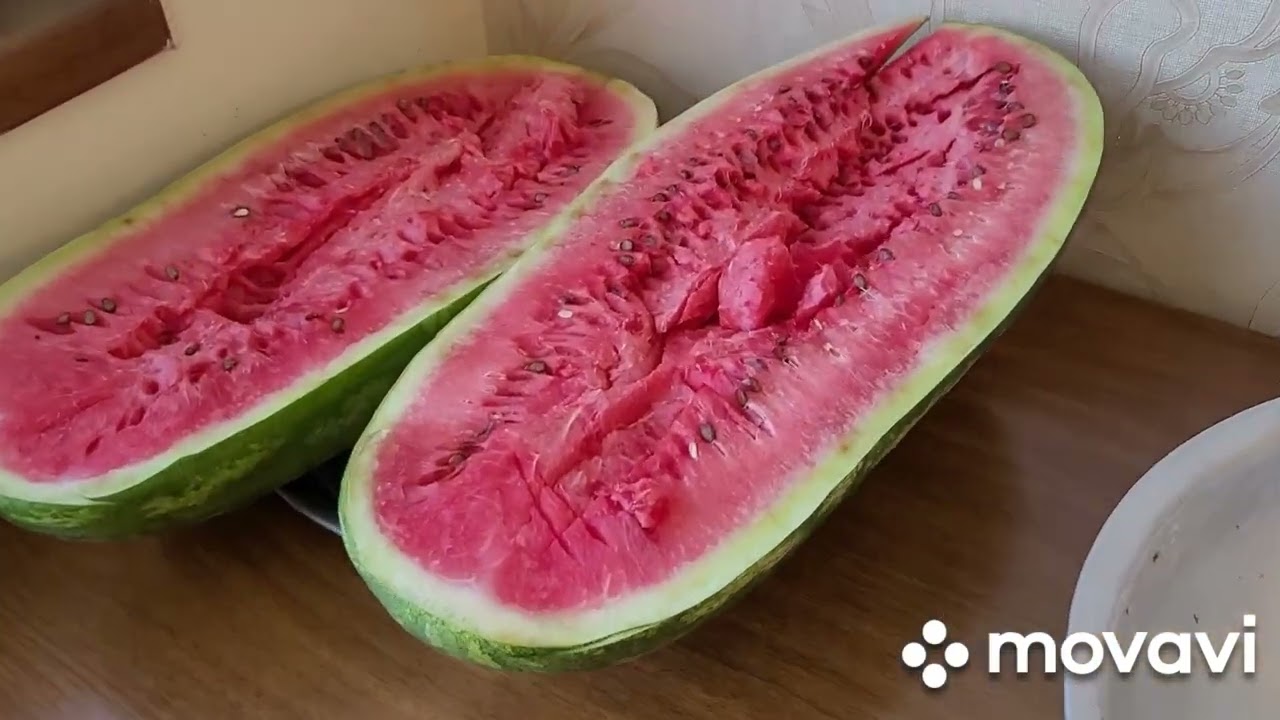 Տնական տոմատի մածուկ/ ինչպե՞ս պատրաստել ,որ բացելուց հետո երկար պահպանվի և երեսը չսպիտակի...