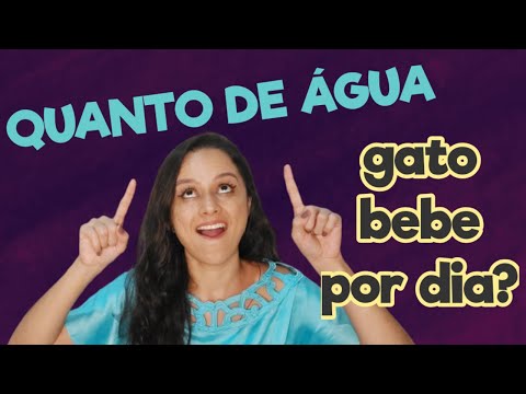 Vídeo: Quanta água Os Gatos Precisam