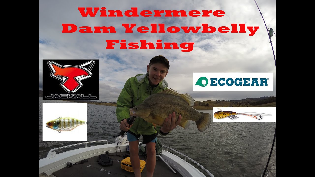 Big Yellowbelly Fishing! (Windermere) YouTube