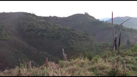 mus cuab qaib qus hnov qaib qus qua coob kawg lom zem kawg li 2019