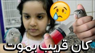 اشترينا حيوان اليف| شوفوا وش صار له !  😥