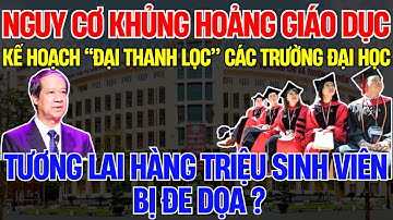 Bí Mật Cuộc Đại Sắp Xếp Các Trường Đại Học: 140 Trường Công Lập Sẽ Bị Xáo Trộn Lớn!