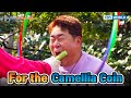 For the Camellia Coin [Two Days and One Night 4 Ep218-2] | KBS WORLD TV 240331