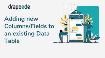 Adding New Columns/Fields to an Existing Data table