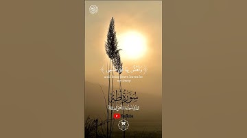 "دقيقة من الخشوع في سورة طه.. ❤️"