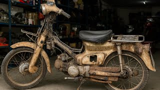 1981 Honda Super Cub 50cc BACK TO LIFE! | Full Restoration